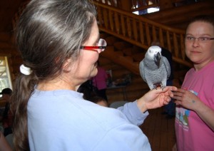 Spring13_grey2